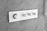 Wall mounted waterfall shower system with hand shower, sliding bar W2287P294324