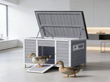 Duck House/ pet House 06172743