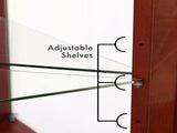Corner Curio Dispaly Cabinet with Lights, Adjustable Tempered Glass Shelves, Mirrored W1693P171669