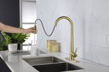 ZNTS Gold Kitchen Faucets with Pull Down Sprayer, Kitchen Sink Faucet with Pull Out Sprayer, Fingerprint K-4012-BG