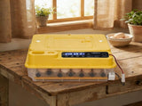TW-24 US Standard Incubator, 110V 120W, Square shape, 24-36 eggs capacity , PP 73964020