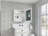 24'' W x 30'' H Surface Frameless Mirror Medicine Beveled Mirror Edges Bathroom Medicine W2287P250184