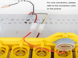 42-Egg Practical Fully Automatic Poultry Incubator with Egg Candler US Standard 08717076