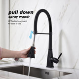 Kitchen Faucet with Pull Down Sprayer W2287P264769