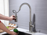 Kitchen Faucet with Pull Out Spraye 37817516
