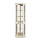 Corner Glass Cabinet Lighted Curio Cabinet Corner Display Case for Living Room, Curio Cabinet, W2275P194429