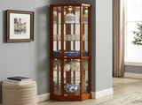 6 Shelf Lighted Corner Curio Cabinet with Adjustable Tempered Glass Shelves and Mirror Back, Oak W1693P170925