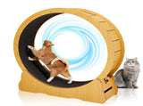 Cat Wheel Exerciser for Indoor Cats, 39.4-inch Large Cat Exercise Wheel for Running Silent, Cat 28135917