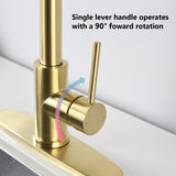 Stainless Steel Pull Down Kitchen Faucet with Soap Dispenser Brushed Gold JYBB41202BG