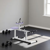 Adjustable Steel Seated Calf Raise Exercise Strength Training Gym Equipment 51800979