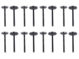 Intake & Exhaust Valve Kit Replacement for Toyota 4Runner T100 Tacoma 2.7L l4 DOHC 3RZFE 13711-75060 16861955