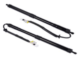 2X Rear Tailgate Power Lift Support Strut Replacement for Lexus RX350 RX350L RX450hL 2018-22 78107031