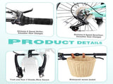 20 Inch Folding Bike for Adults with Basket, Phone Holder & Fenders, Steel Frame 6-Speed City W1019P352737