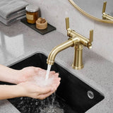 ZNTS Industrial Pipe-Style Bathroom Faucet Brushed Gold 2-Handle Vanity Mixer Tap Pop-Up Drain Included W1920P254920