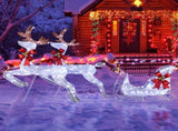 3-Piece Lighted Set of 2 Reindeer & Sleigh, Weather Proof Christmas Outdoor Decorations with Pre-lit 83834966