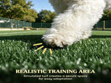Dog Potty Tray 35073225