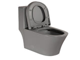 Matte Grey Elongated One Piece Toilet Dual Flush 1.1/1.6 GPF Water Saving Comfort Seat Height, Map W2826P192008