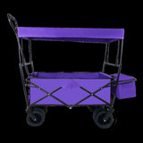 ZNTS Outdoor Garden Park Utility kids wagon portable beach trolley cart camping foldable folding wagon W321115010