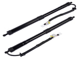 2X Rear Tailgate Power Lift Support Strut Replacement for Lexus RX350 RX350L RX450hL 2018-22 78107031
