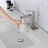 Single Handle Bathroom Sink Faucet with Pop-Up Drain W2287P357133
