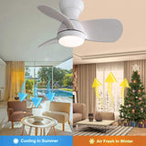 23 Inch Indoor Ceiling Fan With 3 Color Dimmable 3 ABS Blades Remote Control Reversible DC Motor W882P146321