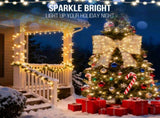 Pre-lit Outdoor Giant Bowknot Christmas Decoration, Lighted Metal Frame with 124 Warm White LED 60463986
