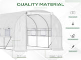 Mini Walk-in Greenhouse 56503856
