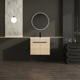 LEVISTAR Oak 24 Inch Bathroom Vanity with resin Countertop Sink, 2 Doors Bathroom Cabinet Set W1972P165042