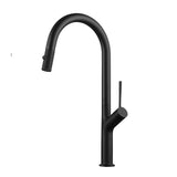 DAX Single Handle Pull Out Kitchen Faucet - Matt Black Finish B2702P227003