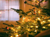 100FT 50 LED Indoor Outdoor Christmas String Light for House Roof Patio Tree, Warm White 32970301