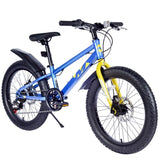 20 Inch Kids Bicycles , Fat Tire Mountain Bike for Boys and Girls Age 5 Years ,Dual-Disc W1019P203874