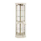 Corner Glass Cabinet Lighted Curio Cabinet Corner Display Case for Living Room, Curio Cabinet, W2275P194429