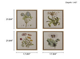 4-piece Botanical Illustration Framed Canvas Wall Art Set B03599414