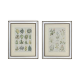 S/2 15.7x19.7" Liana Mirror Framed Wall Art on Mellow Golden Tint Background W2078P313327