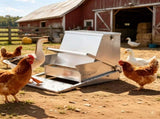 Automatic Chicken Feeder 23804863