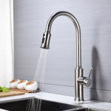 Kitchen Faucet with Pull Out Spraye TH4026NS01