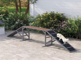 Dog Agility Ramp 60626473