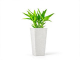 Set of 2 Tall Planters 32 Inch, Plastic Flower Pots for Outdoor Plants with Drainage Holes, White 74692636