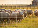 5x164 ft Advanced Weave Farm Enclosures Long-Lasting and Secure Galvanized Farm Fence 75287777