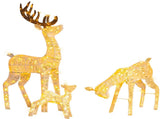3-Piece Lighted Christmas Reindeer Family Set Outdoor Decorations, Weather Proof Deer Family Set of 49296917