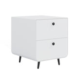 Modern Night Stand Storage Cabinet for Living Room Bedroom, Steel Cabinet with 2 Drawers,Bedside W252113552