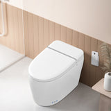 ZNTS Smart Toilet Bidet Combo with Foot Sensor Open Cover/Seat, Self-Cleaning Nozzle, Heated Seat, Night W1219P243771