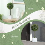 Artificial Plant/Green plants 81278399