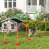 Dog agility training equipment 09097180