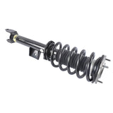 Front Left Shock Absorber Strut Assy Fits for Tesla Model 3 RWD Sedan 2017-2021 104436401G 10370241