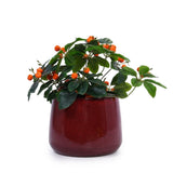 Handmade Ceramic Flower Pot Set of 4, 7/9/11/14 Inch Diameter, Deep Red Speckled Glaze for All W3273P321581
