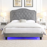 Upholstered Bed Button Tufted with Curve Design - Strong Wood Slat Support - Easy Assembly - Light W311P228694