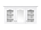 40" Medicine Cabinet with Mirror, Bathroom Storage Cabinet with Mirror Door and Shelves, Wall N710P264317K