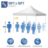 10*10ft 4 77071950