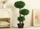 Artificial Plant/Green plants 68710276